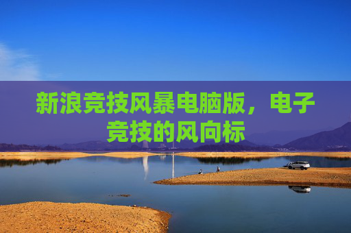 新浪竞技风暴电脑版，电子竞技的风向标