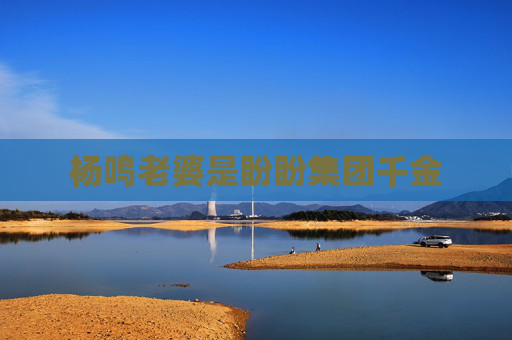 杨鸣老婆是盼盼集团千金