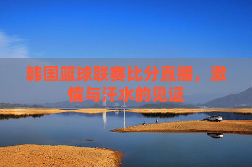 韩国篮球联赛比分直播，激情与汗水的见证