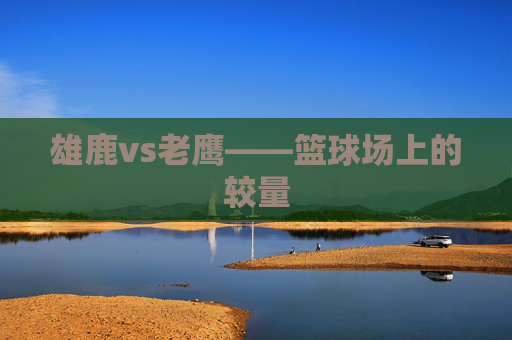 雄鹿vs老鹰——篮球场上的较量