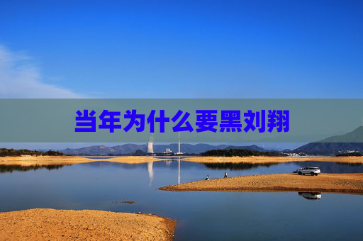 当年为什么要黑刘翔