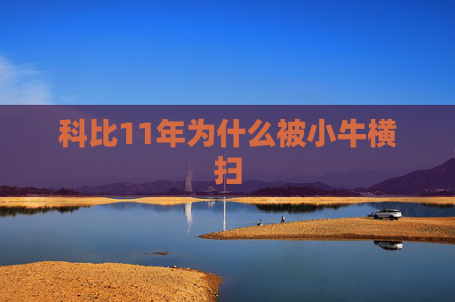 科比11年为什么被小牛横扫
