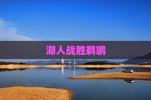湖人战胜鹈鹕