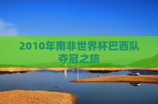 2010年南非世界杯巴西队夺冠之旅