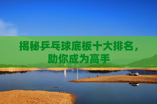 揭秘乒乓球底板十大排名，助你成为高手