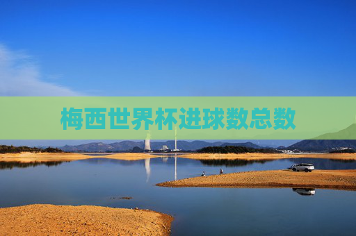 梅西世界杯进球数总数