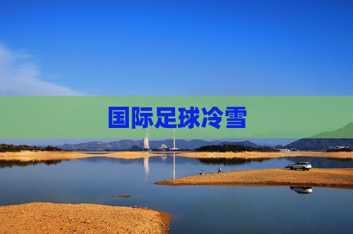 国际足球冷雪