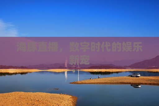 海豚直播，数字时代的娱乐新宠