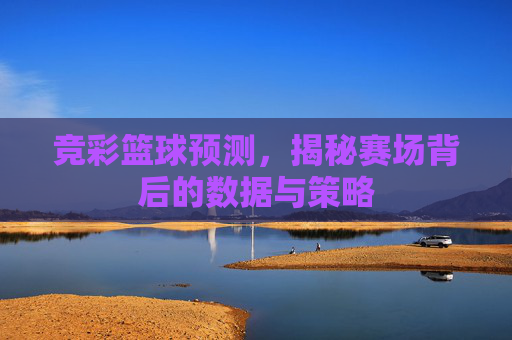 竞彩篮球预测，揭秘赛场背后的数据与策略