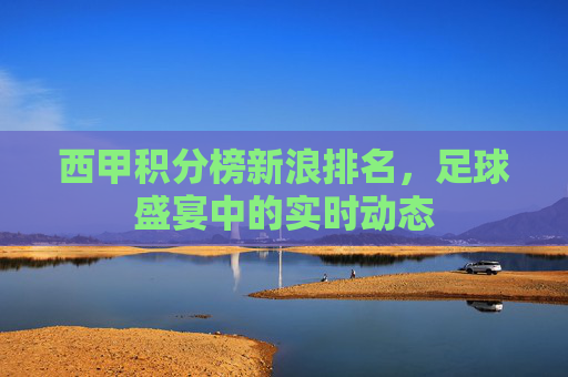 西甲积分榜新浪排名，足球盛宴中的实时动态