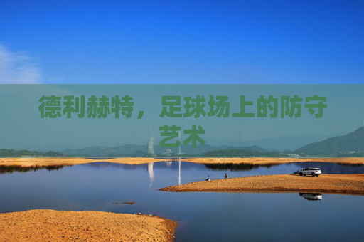 德利赫特，足球场上的防守艺术