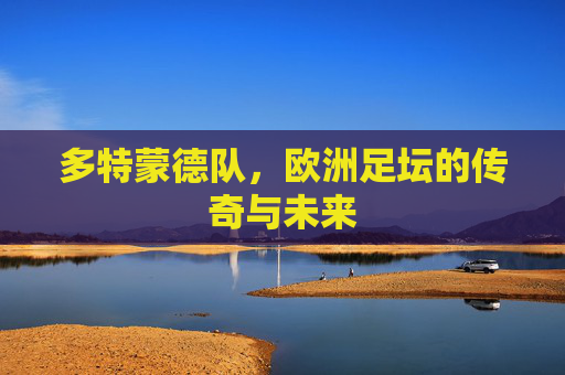 多特蒙德队，欧洲足坛的传奇与未来