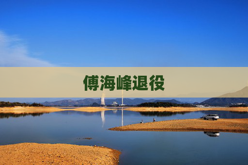 傅海峰退役