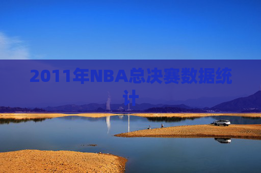 2011年NBA总决赛数据统计