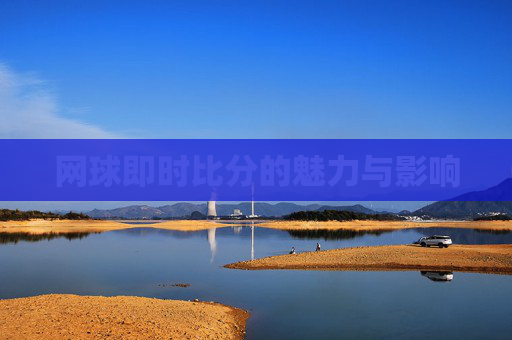 网球即时比分的魅力与影响