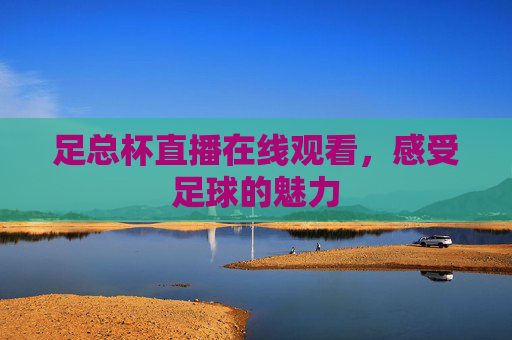 足总杯直播在线观看，感受足球的魅力