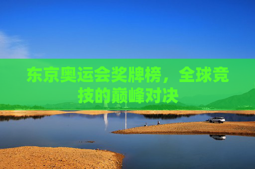 东京奥运会奖牌榜，全球竞技的巅峰对决