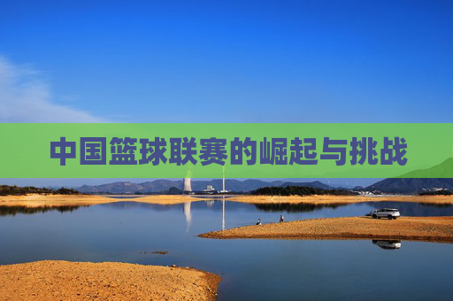 中国篮球联赛的崛起与挑战