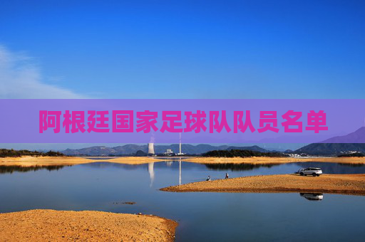 阿根廷国家足球队队员名单 阿根廷国家足球队队员名单