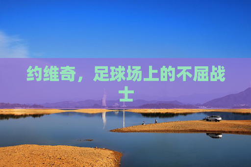 约维奇，足球场上的不屈战士