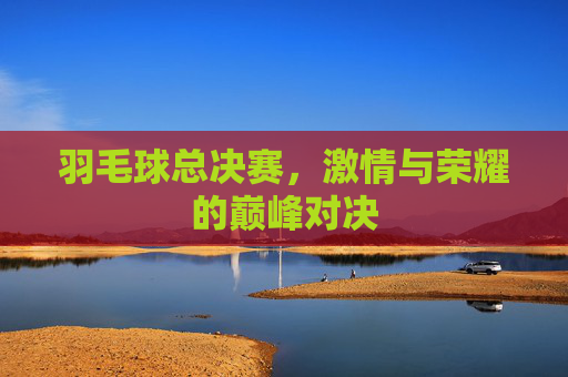 羽毛球总决赛，激情与荣耀的巅峰对决