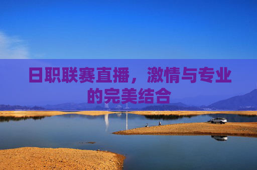 日职联赛直播，激情与专业的完美结合