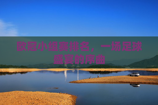 欧冠小组赛排名，一场足球盛宴的序曲