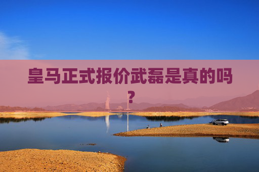 皇马正式报价武磊是真的吗？