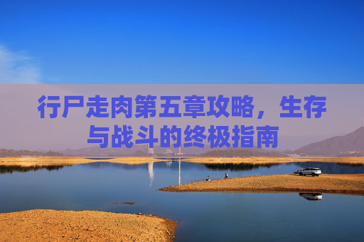 行尸走肉第五章攻略，生存与战斗的终极指南