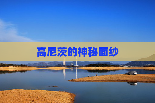 高尼茨的神秘面纱