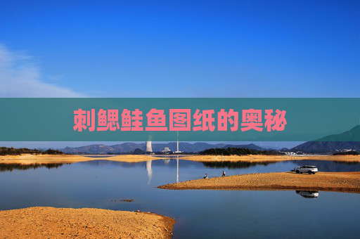 刺鳃鲑鱼图纸的奥秘