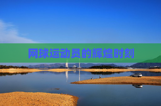 网球运动员的辉煌时刻