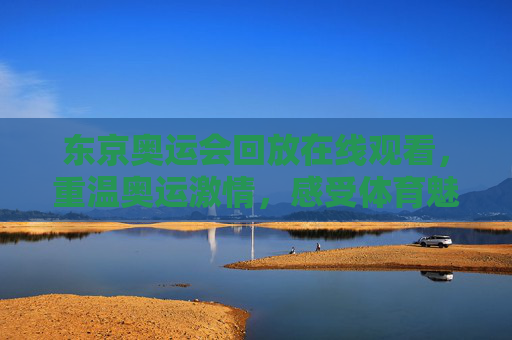 东京奥运会回放在线观看，重温奥运激情，感受体育魅力