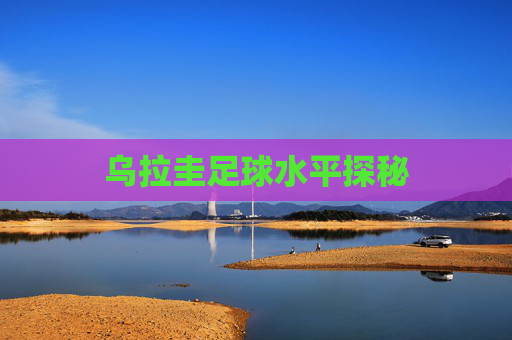 乌拉圭足球水平探秘