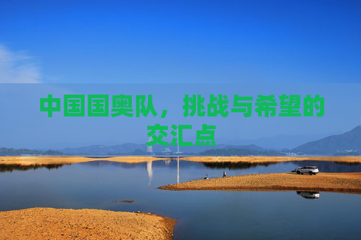 中国国奥队，挑战与希望的交汇点