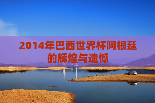 2014年巴西世界杯阿根廷的辉煌与遗憾