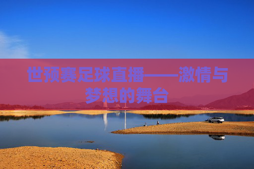 世预赛足球直播——激情与梦想的舞台