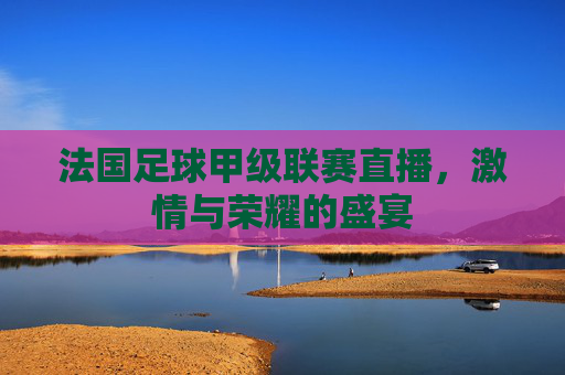法国足球甲级联赛直播，激情与荣耀的盛宴
