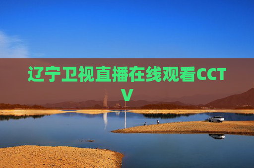 辽宁卫视直播在线观看CCTV