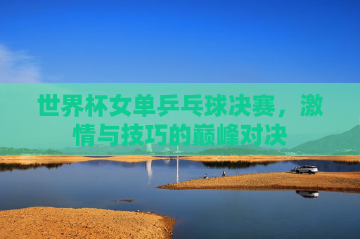 世界杯女单乒乓球决赛，激情与技巧的巅峰对决