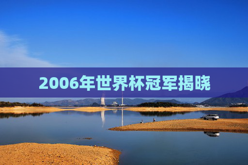 2006年世界杯冠军揭晓