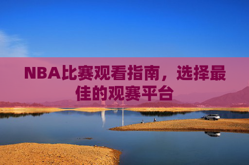 NBA比赛观看指南，选择最佳的观赛平台