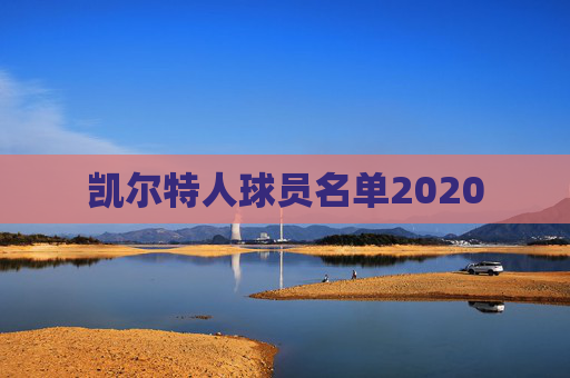 凯尔特人球员名单2020 凯尔特人球员名单2020