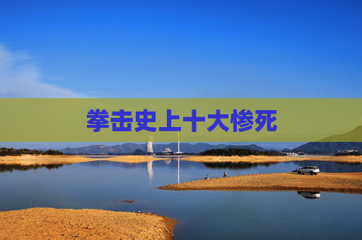 拳击史上十大惨死 拳击史上十大惨死