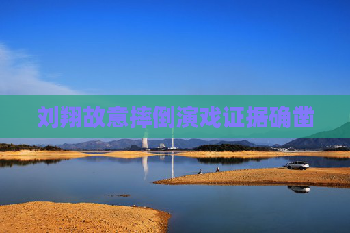 刘翔故意摔倒演戏证据确凿 刘翔故意摔倒演戏证据确凿