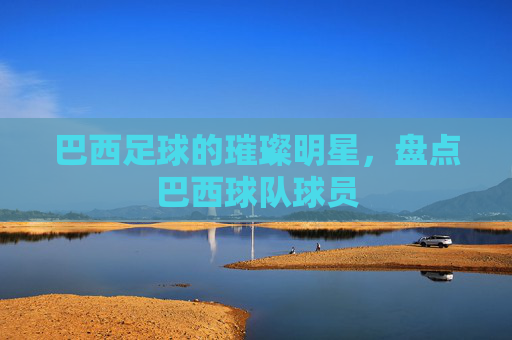 巴西足球的璀璨明星,盘点巴西球队球员 巴西足球的璀璨明星,盘点巴西球队球员