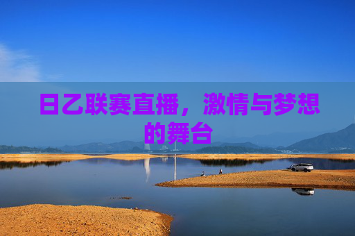 日乙联赛直播,激情与梦想的舞台 日乙联赛直播,激情与梦想的舞台