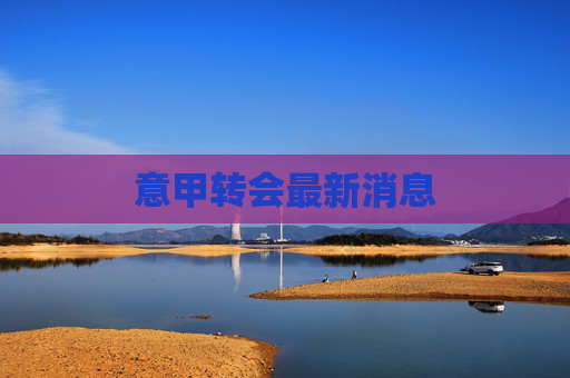 意甲转会最新消息