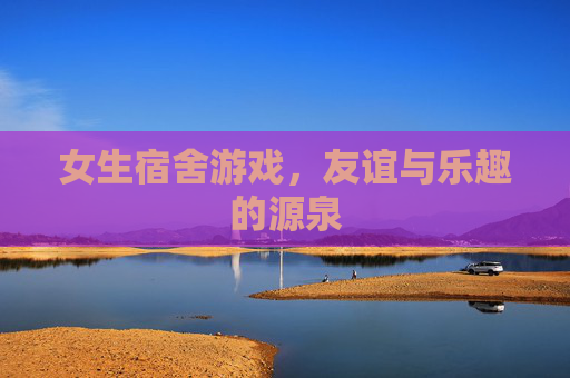 女生宿舍游戏，友谊与乐趣的源泉