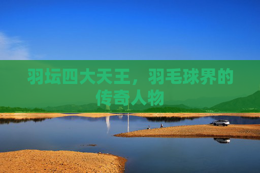羽坛四大天王，羽毛球界的传奇人物